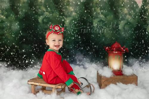 Kate Dazzling Winter Snowy Forest Backdrop for Photography Designed by Modest Brushes - Image 6