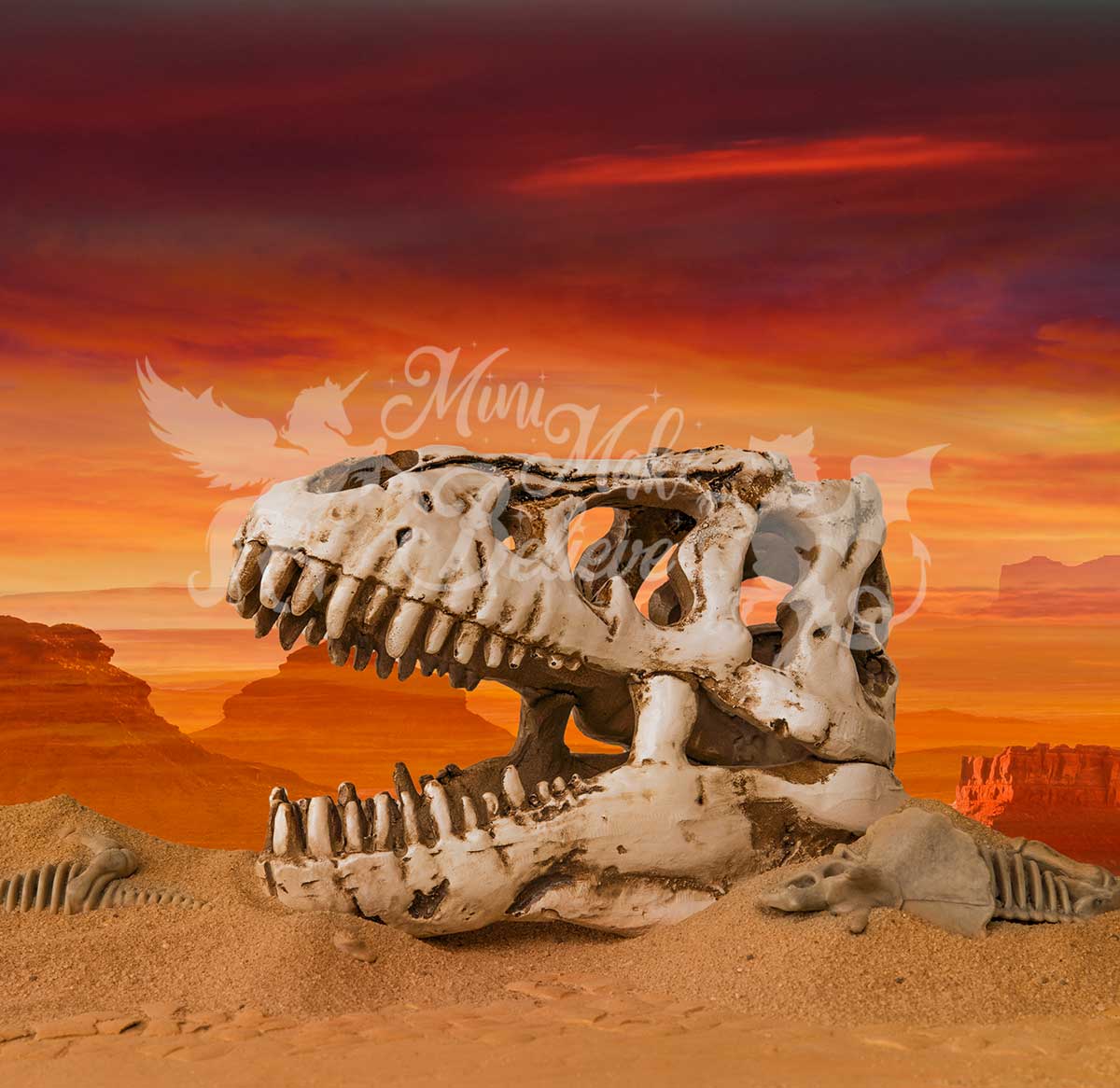 Kate Dino Skull Skeleton Desert Paleontologist Scientist Boy Backdrop Designed by Mini MakeBelieve - Image 2