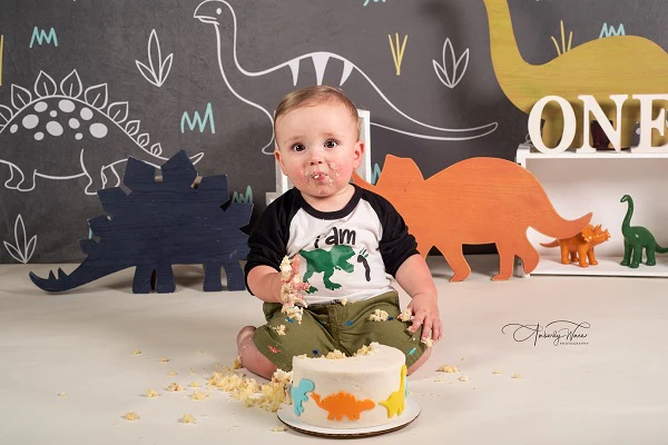 Kate Gray White Small Dinosaur Backdrop Designed by Amanda Moffatt - Image 4