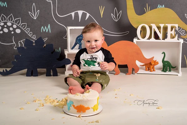 Kate Gray White Small Dinosaur Backdrop Designed by Amanda Moffatt - Image 5