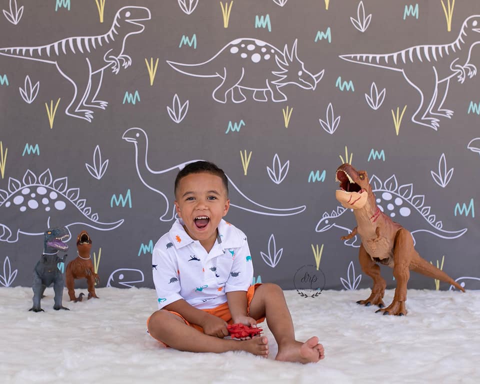 Kate Gray White Small Dinosaur Backdrop Designed by Amanda Moffatt - Image 6