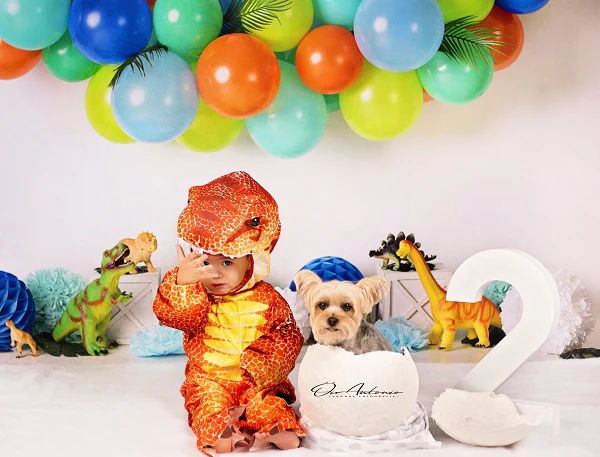 Kate Dinosaur Birthday Balloons Backdrop Designed By Mandy Ringe Photography - Image 3