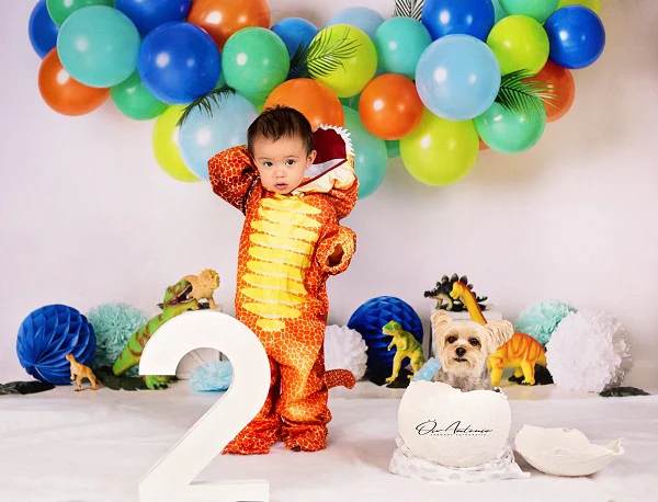 Kate Dinosaur Birthday Balloons Backdrop Designed By Mandy Ringe Photography - Image 4