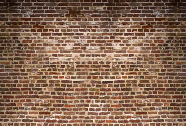 Kate Distressed Brick Combination Backdrops for Photography - Image 2