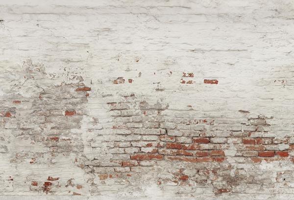 Kate Distressed Brick Combination Backdrops for Photography - Image 5