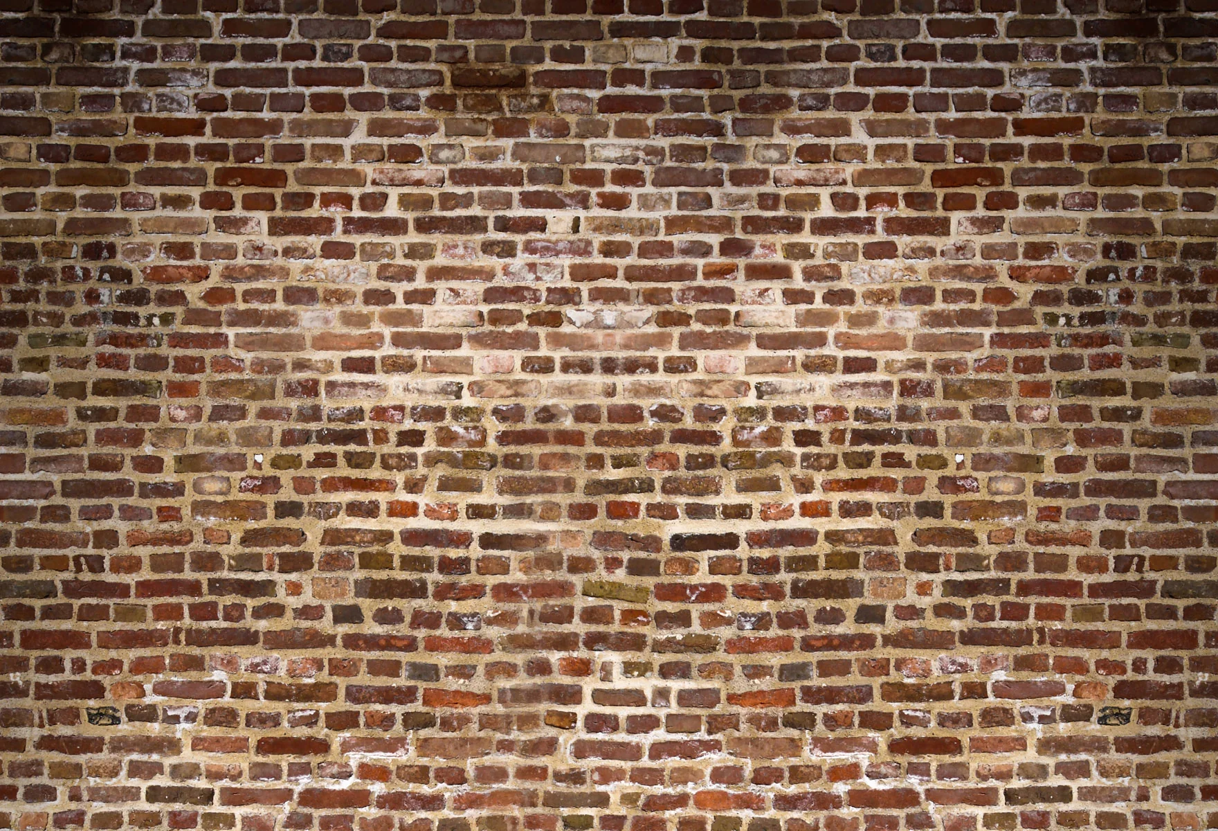 Kate Distressed Brick Wall Backdrop for Photography - Image 2