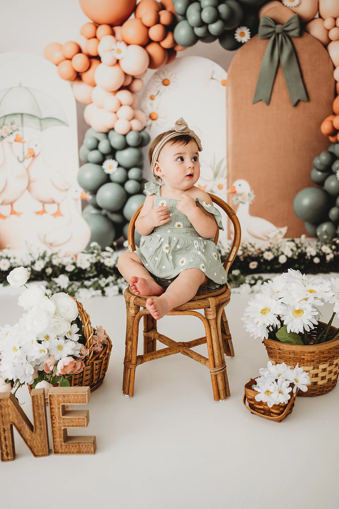 Kate Duck Daisy Balloons Pastel Arch Backdrop Designed by Patty Robert - Image 4