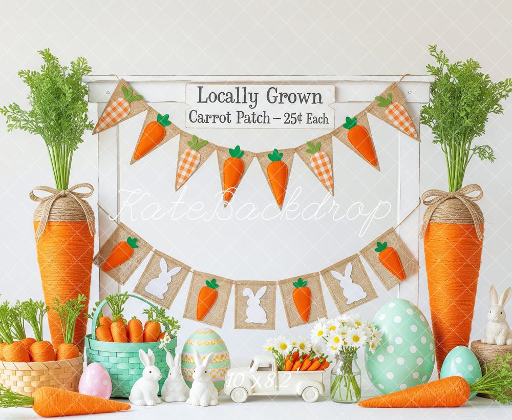 Kate Easter Bunny Carrots Eggs Decor Fleece Backdrop Designed by Patty Robert - Image 3