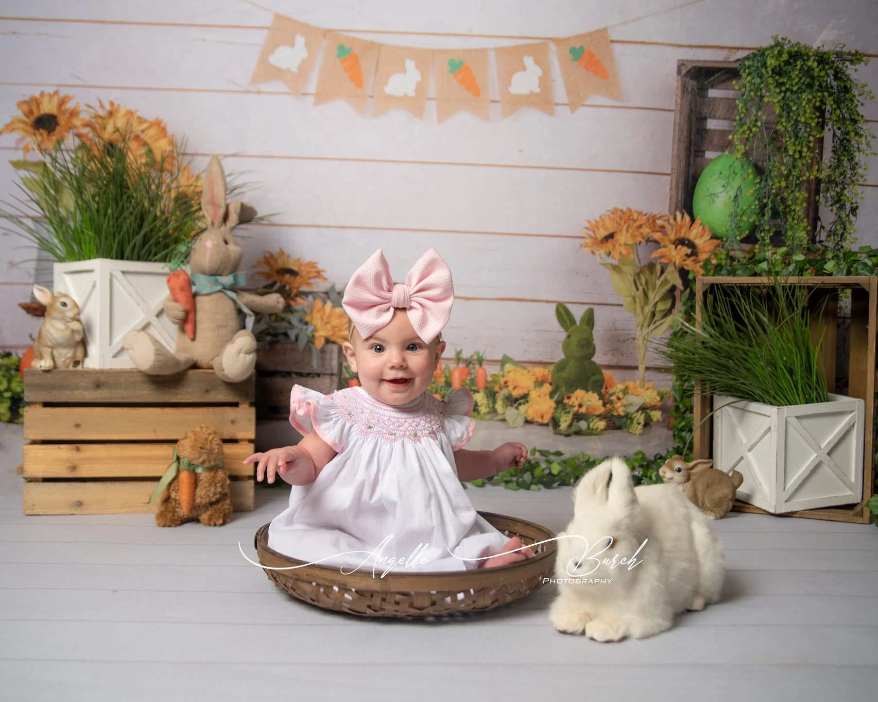 Kate Easter/Spring Sunflowers Carrots Rabbit Wood Wall Backdrop Designed by Jia Chan Photography - Image 3