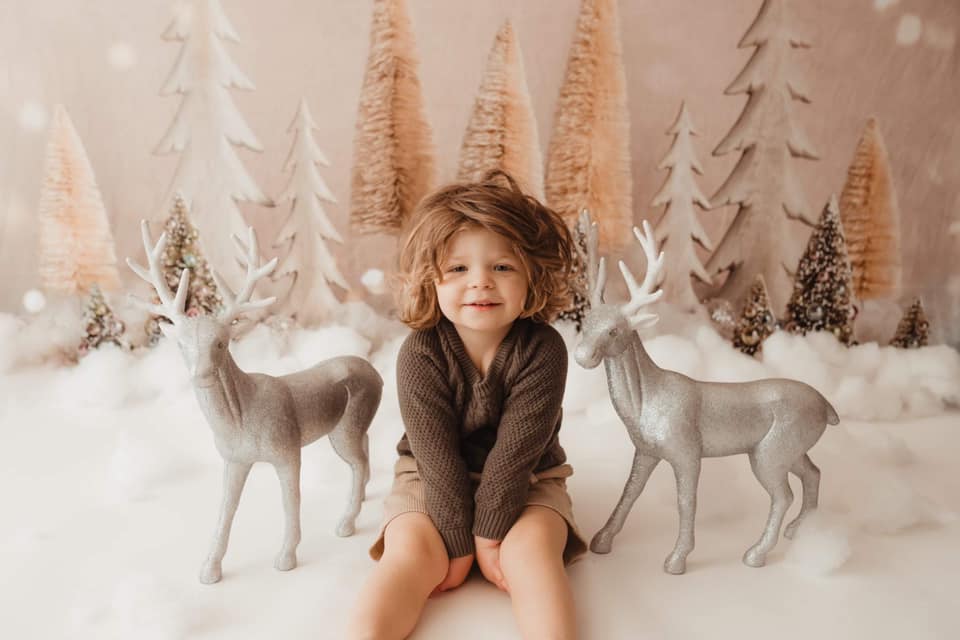 Kate Elegant Christmas Trees with Glitter Backdrop Designed By Mandy Ringe Photography - Image 3
