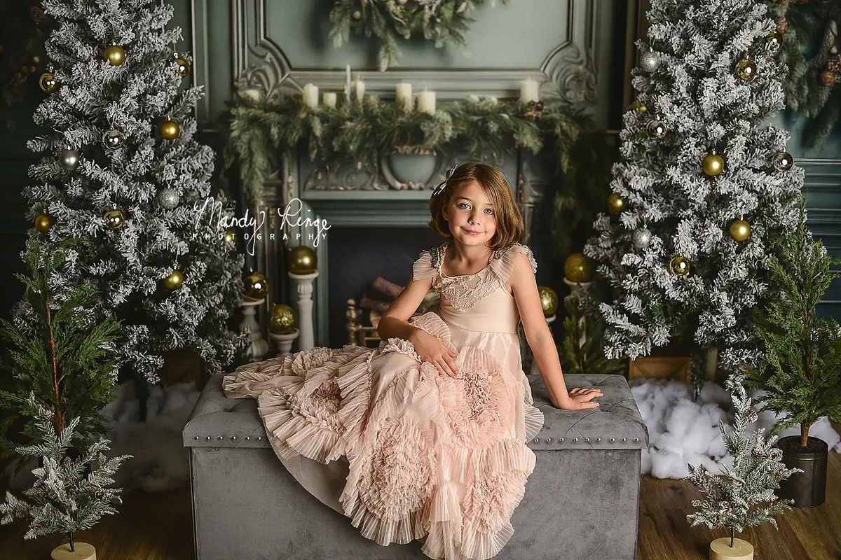 Kate Elegant Fireplace with Christmas Greenery Fleece Backdrop Designed by Mandy Ringe Photography - Image 5