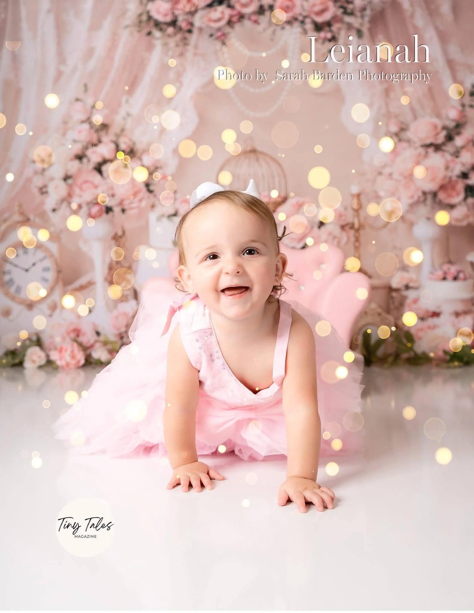 Kate Elegant Pink Floral Lace Birdcage Backdrop Designed by Emetselch - Image 4