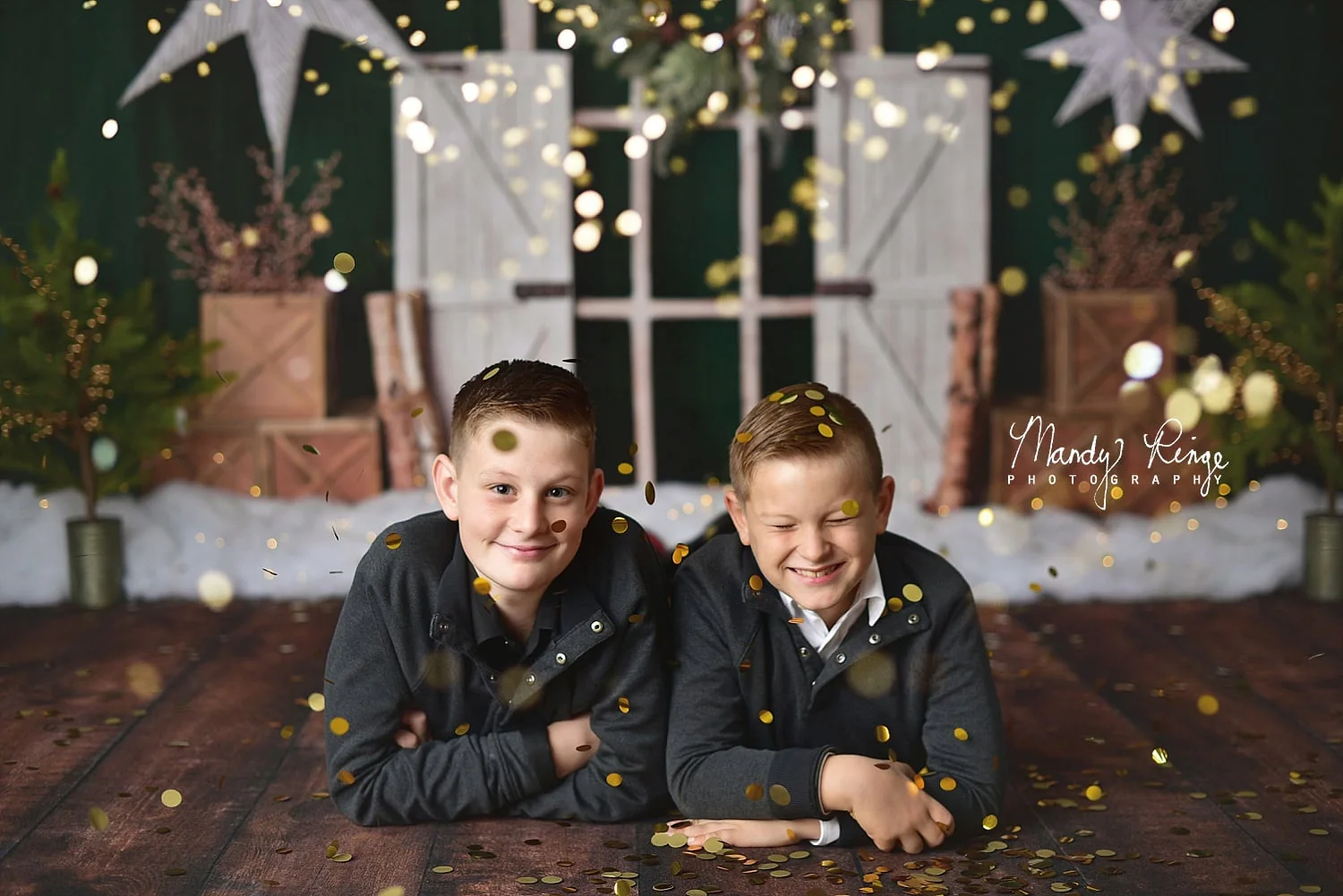Kate Evergreen Christmas Holiday Backdrop Designed By Mandy Ringe Photography - Image 11