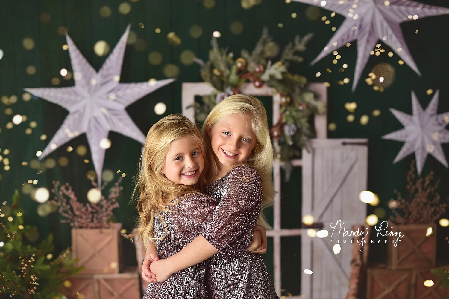 Kate Evergreen Christmas Holiday Backdrop Designed By Mandy Ringe Photography - Image 3