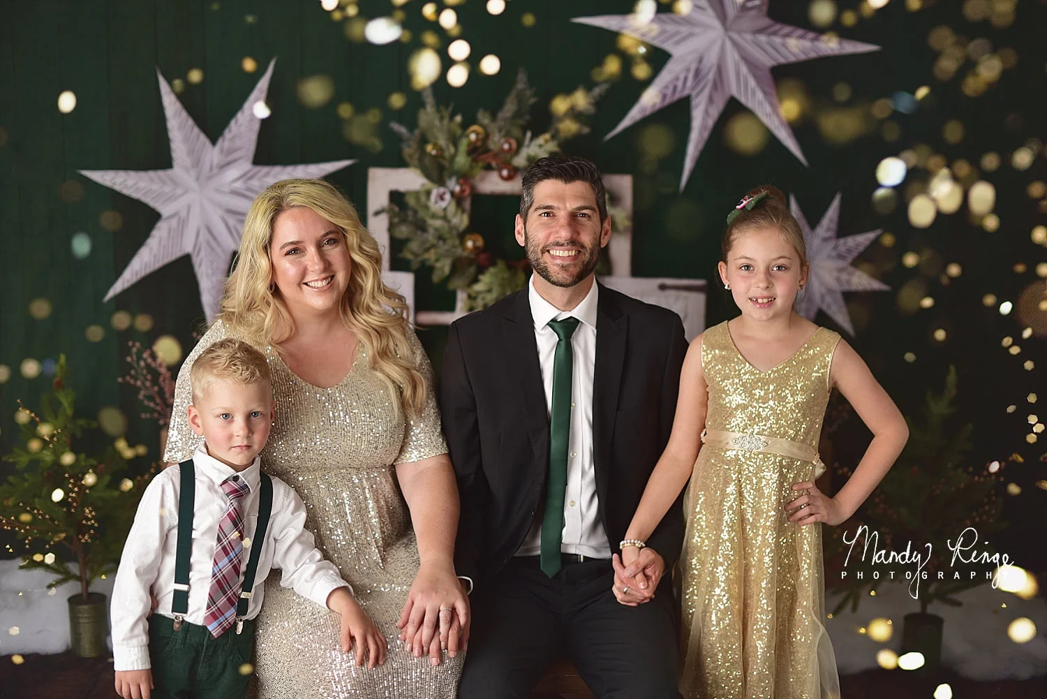 Kate Evergreen Christmas Holiday Backdrop Designed By Mandy Ringe Photography - Image 5