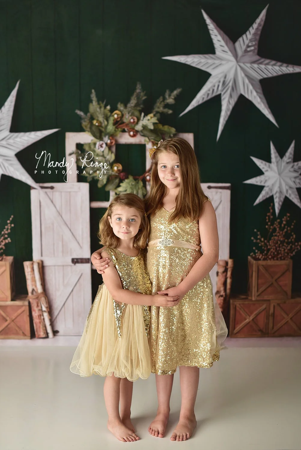 Kate Evergreen Christmas Holiday Backdrop Designed By Mandy Ringe Photography - Image 6