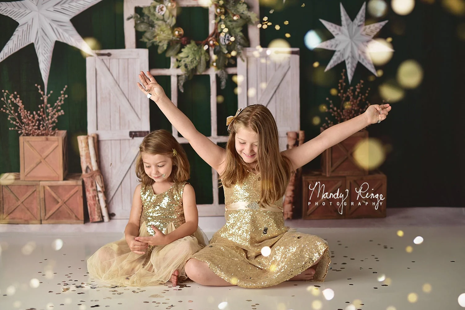 Kate Evergreen Christmas Holiday Backdrop Designed By Mandy Ringe Photography - Image 7