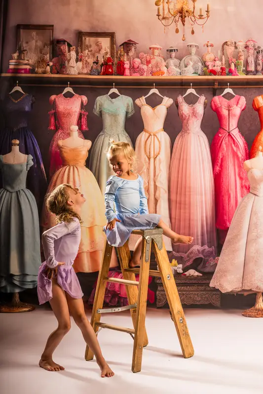 Kate Fairytale Princess Dress Up Closet Backdrop Designed by Mandy Ringe Photography - Image 4
