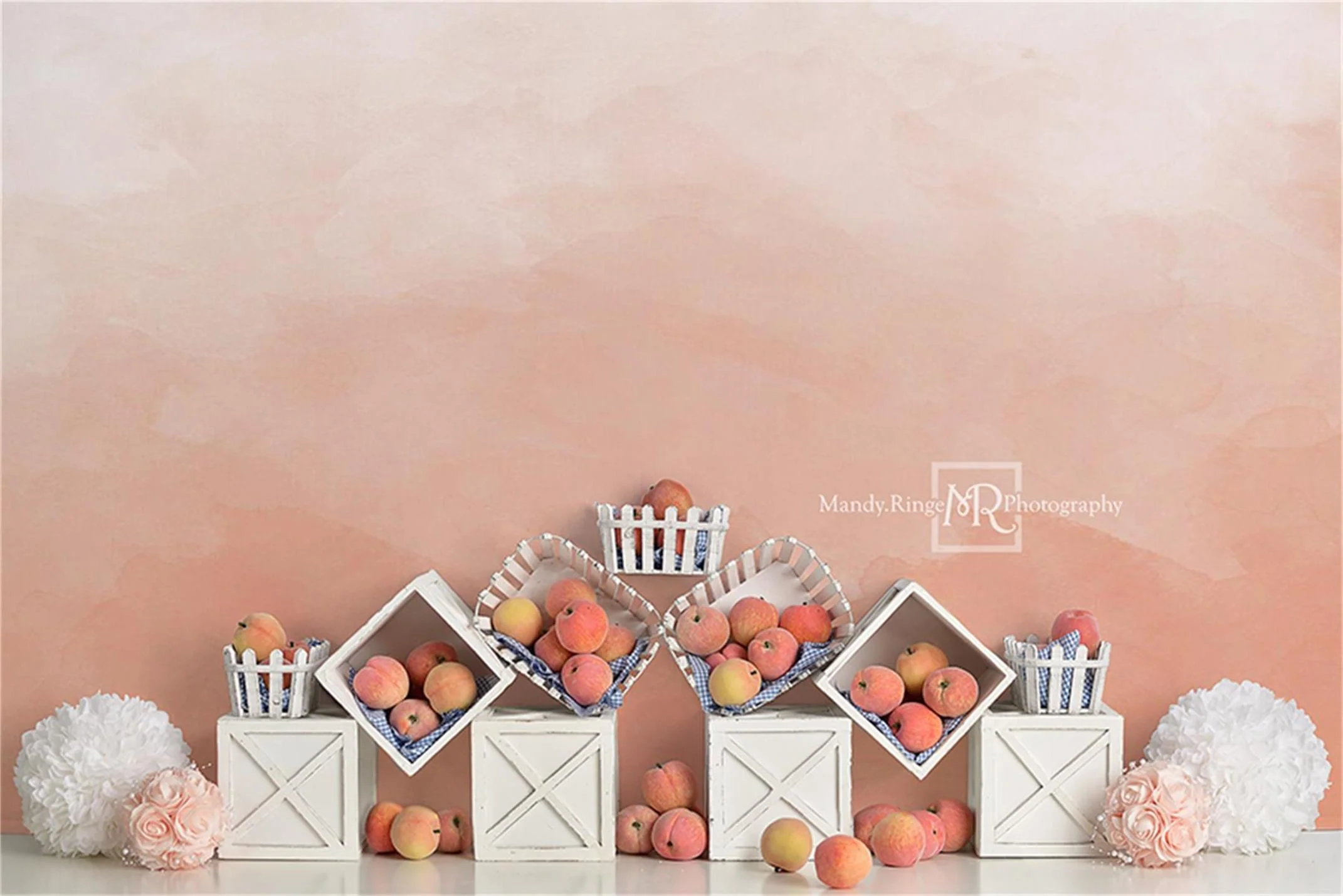 Kate Autumn Peaches and Cream Backdrop Designed By Mandy Ringe Photography - Image 2
