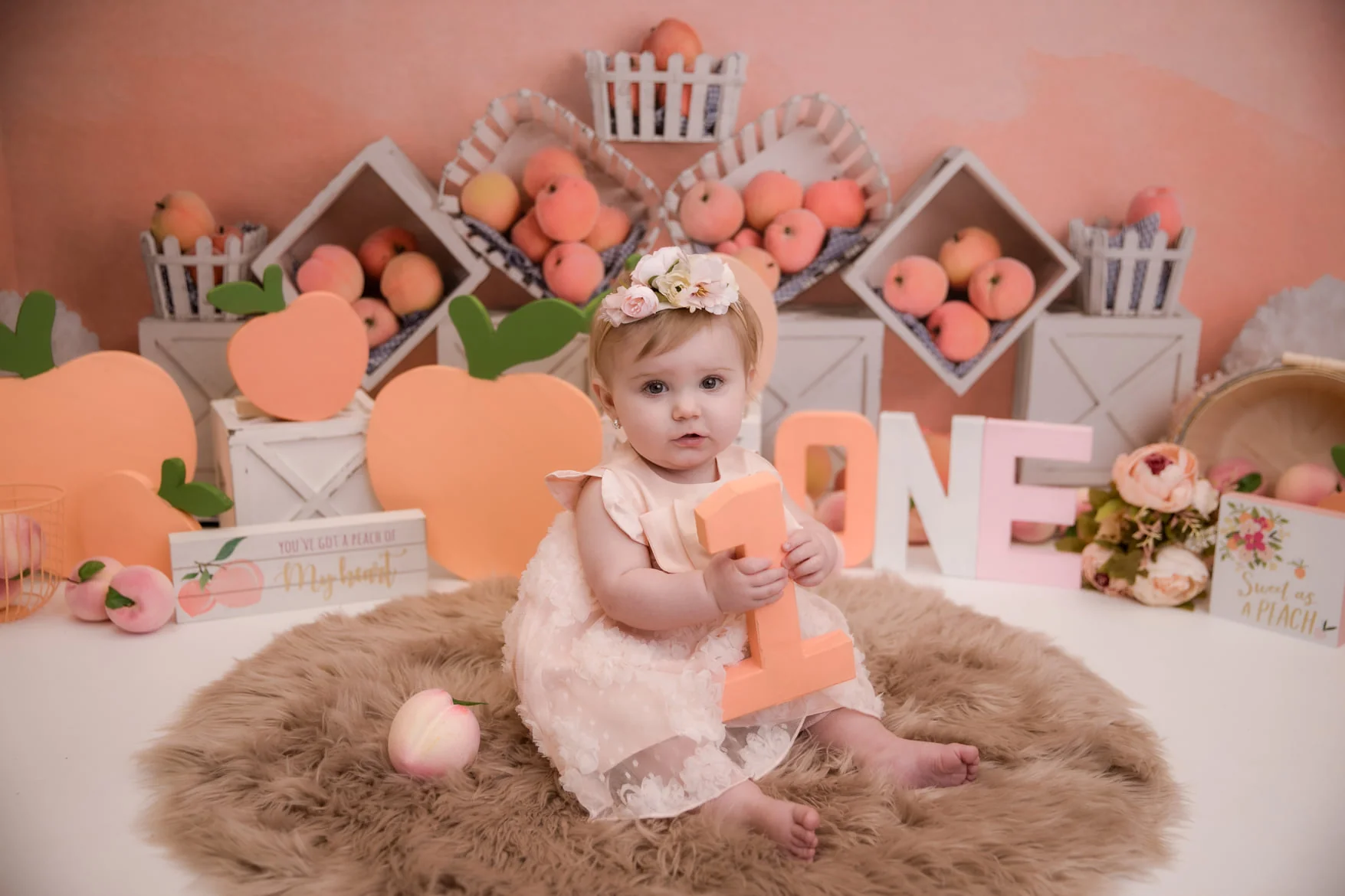 Kate Autumn Peaches and Cream Backdrop Designed By Mandy Ringe Photography - Image 3