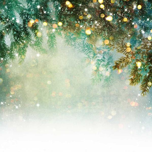 Kate Fantasy Bokeh Christmas Pine tree Backdrops for Photography - Image 2