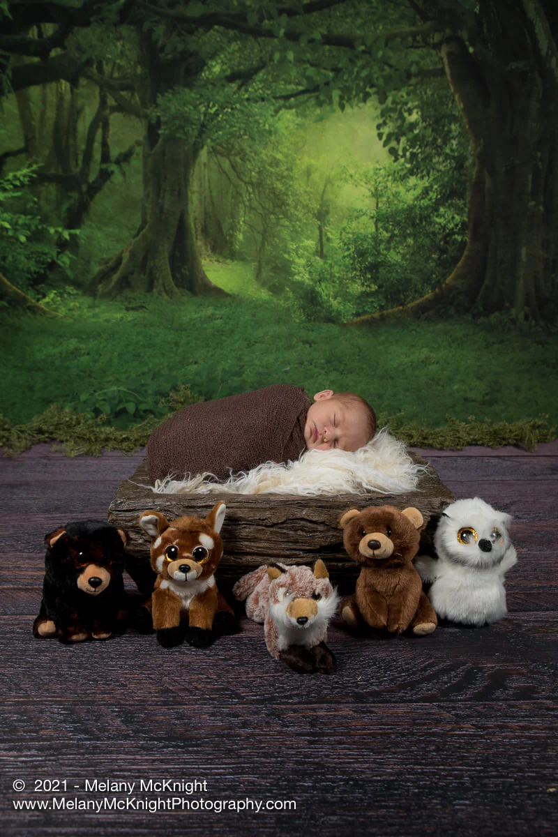 Kate Fantasy Deep forest Sunshine Backdrops for Photography - Image 3