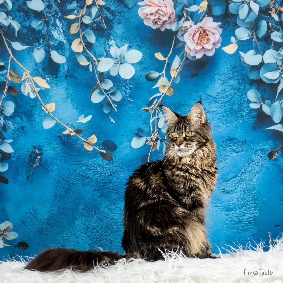 Kate Fine Art Flower Blue Vintage Backdrop Designed by Emetselch