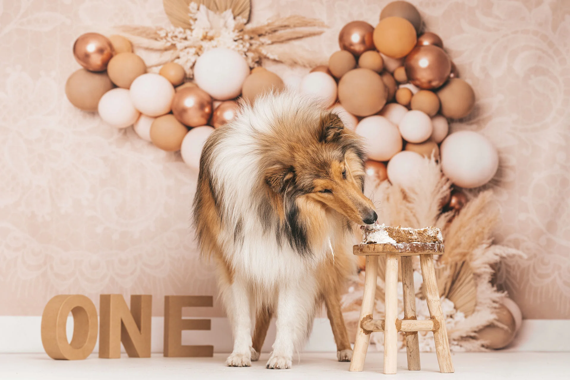 Kate Floral Boho Balloon Backdrop Designed by Kerry Anderson - Image 3