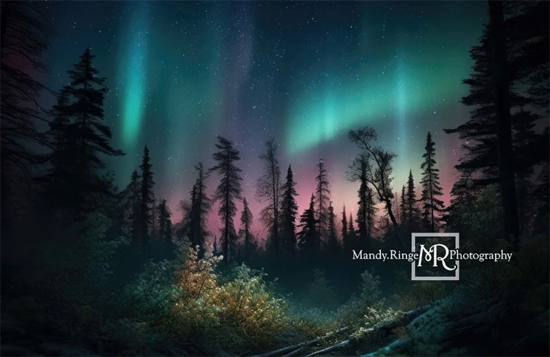 Kate Forest Colorful Northern Lights Backdrop Designed by Mandy Ringe Photography - Image 3