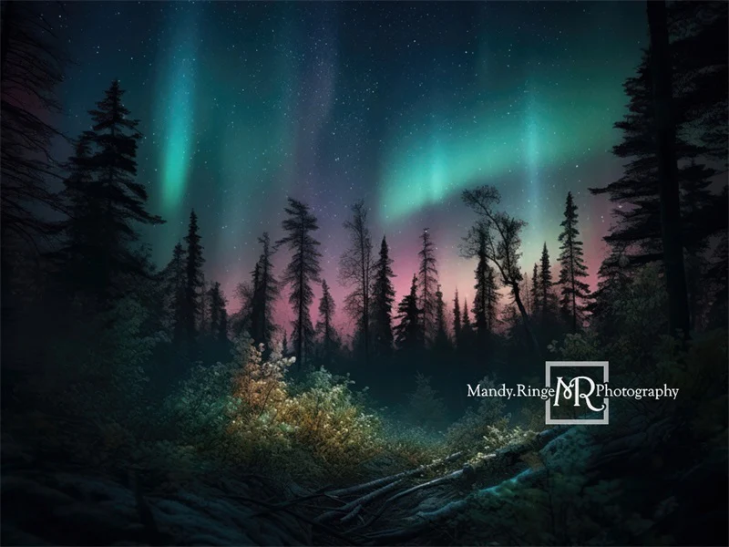 Kate Forest Colorful Northern Lights Backdrop Designed by Mandy Ringe Photography - Image 4