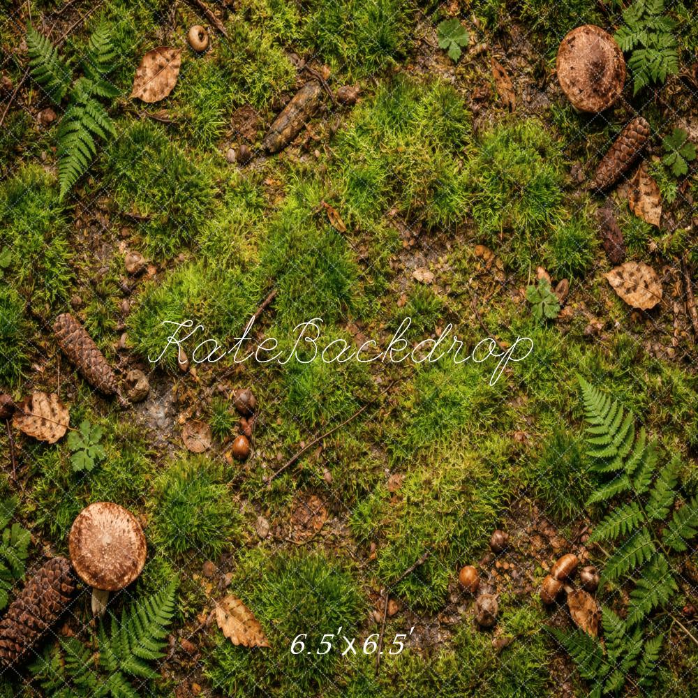 Kate Forest Floor Moss Ferns Pinecones Backdrop Designed by Vertigo Productions - Image 2