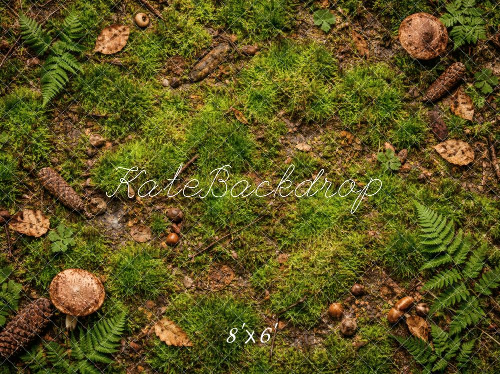 Kate Forest Floor Moss Ferns Pinecones Backdrop Designed by Vertigo Productions - Image 3