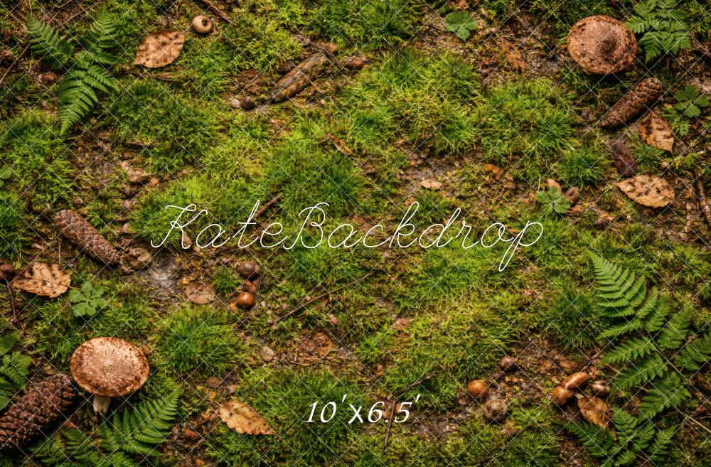 Kate Forest Floor Moss Ferns Pinecones Backdrop Designed by Vertigo Productions - Image 4