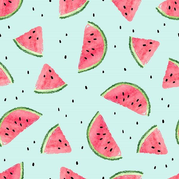 Kate Fresh Background Summer Watermelon Backdrop cake smash/birthday - Image 2