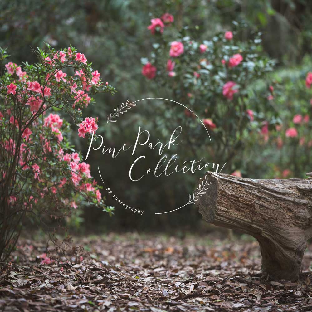 Kate Garden with log bench spring Backdrop for Photography Designed by Pine Park Collection - Image 4