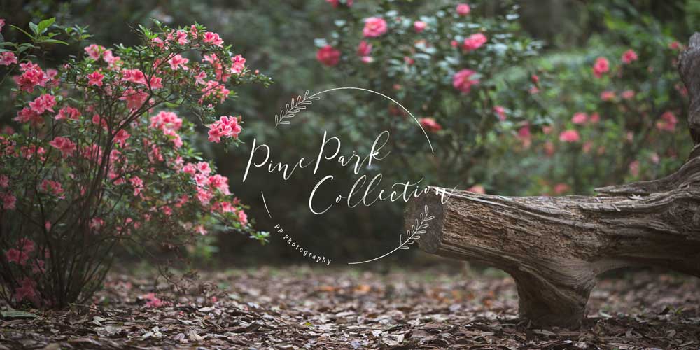 Kate Garden with log bench spring Backdrop for Photography Designed by Pine Park Collection - Image 5