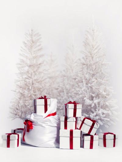 Kate Gift And Snow Tree Backdrop for Christmas Photography - Image 2
