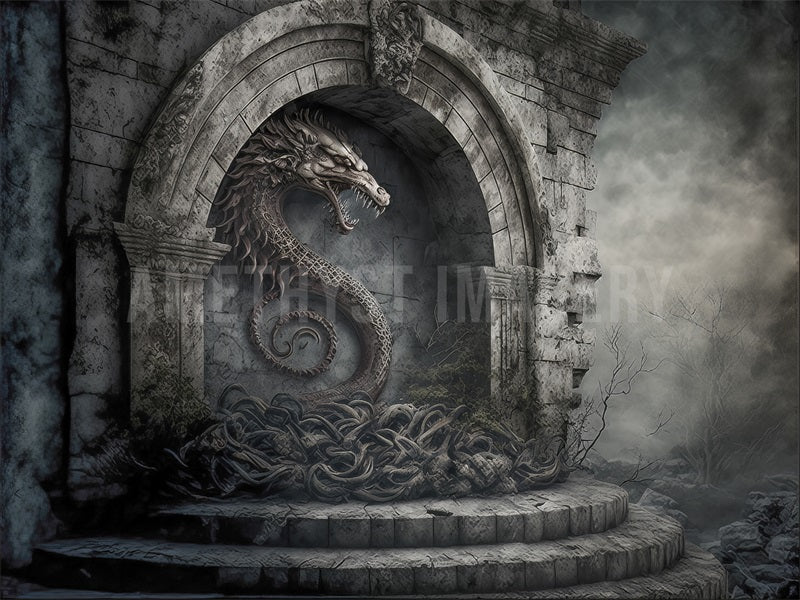 Kate Gray Dragon Stone Fantasy Wall Backdrop Designed by Angela Marie Photography - Image 4