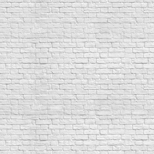 Kate Gray White Brick Wall Graduation Backdrop Studio - Image 10