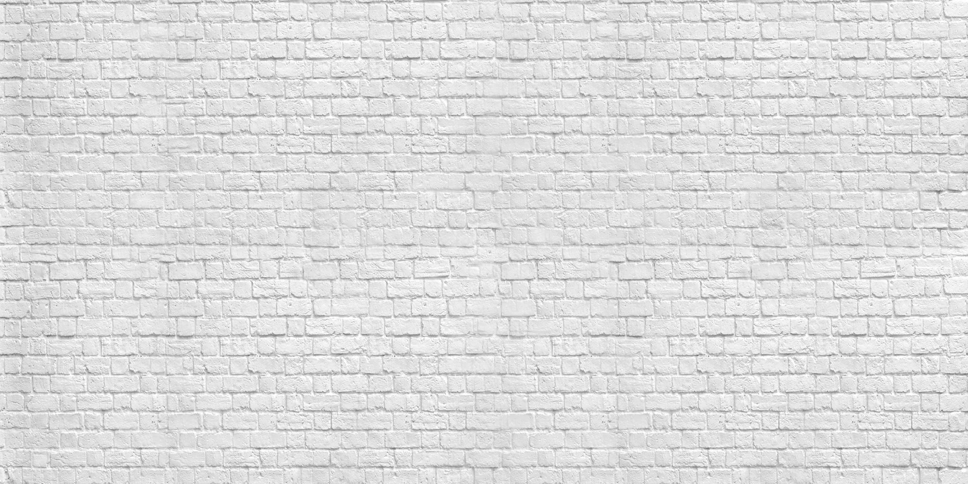 Kate Gray White Brick Wall Graduation Backdrop Studio - Image 12