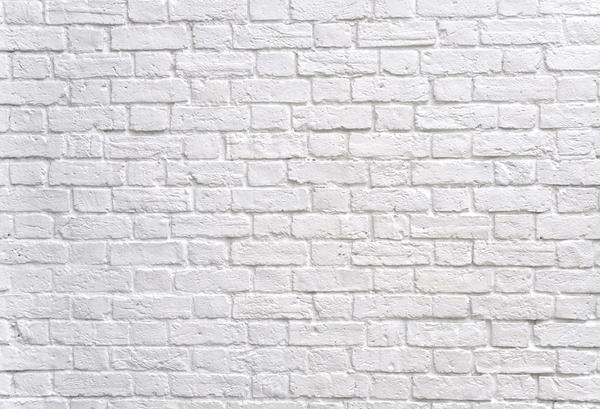 Kate Gray White Brick Wall Graduation Backdrop Studio - Image 2