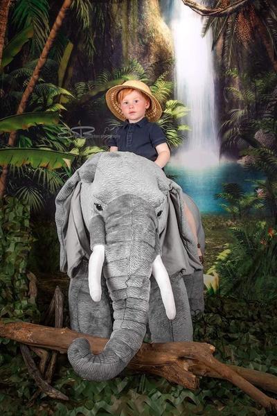 Kate Green Forest Waterfall Backdrops for Photography - Image 3