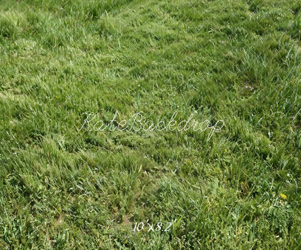 Kate Green Grass Field Fleece Backdrop Designed by Kate Image - Image 3