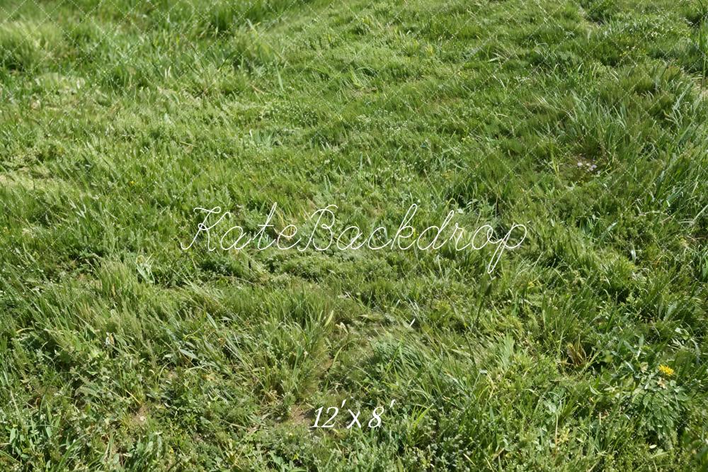 Kate Green Grass Field Fleece Backdrop Designed by Kate Image - Image 4
