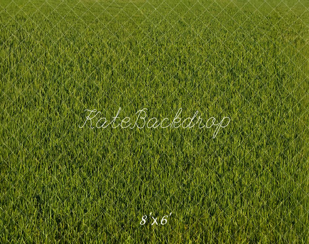 Kate Green Grass Field Floor Fleece Backdrop Designed by Emetselch