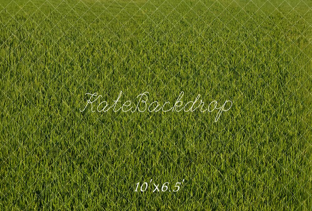 Kate Green Grass Field Floor Fleece Backdrop Designed by Emetselch - Image 2