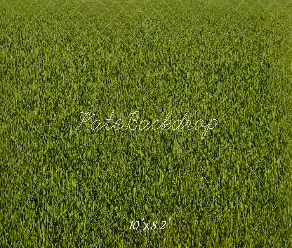 Kate Green Grass Field Floor Fleece Backdrop Designed by Emetselch - Image 3