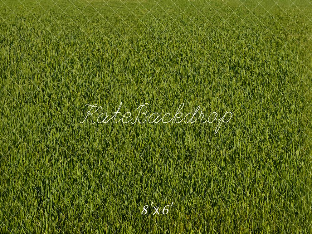 Kate Green Grass Texture Floor Backdrop Designed by Emetselch - Image 3