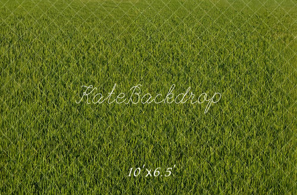 Kate Green Grass Texture Floor Backdrop Designed by Emetselch - Image 4