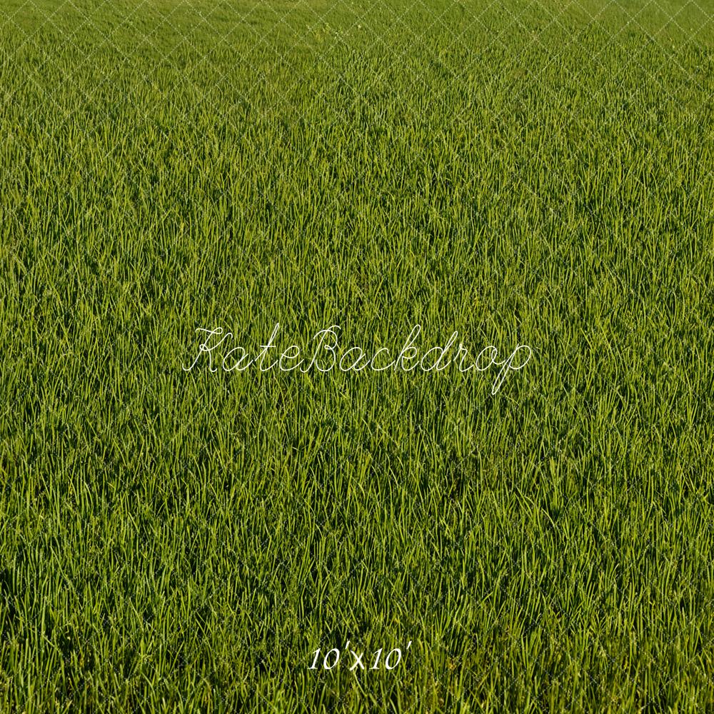 Kate Green Grass Texture Floor Backdrop Designed by Emetselch - Image 7